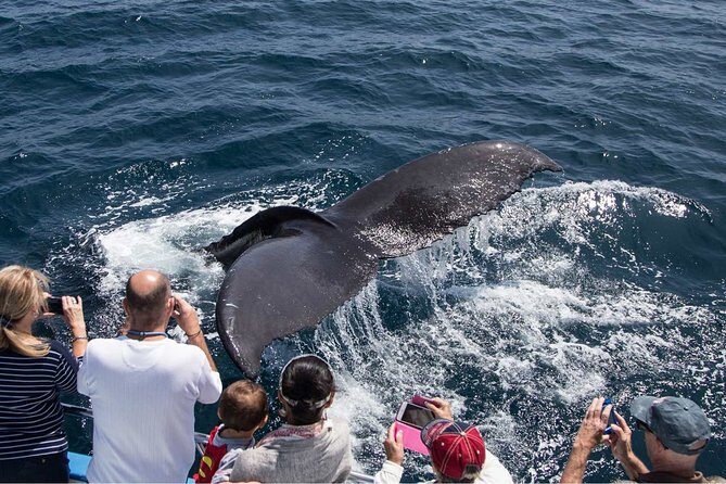 San Diego Explorer Pass: Save up to 50% - Includes San Diego Zoo - FAQs