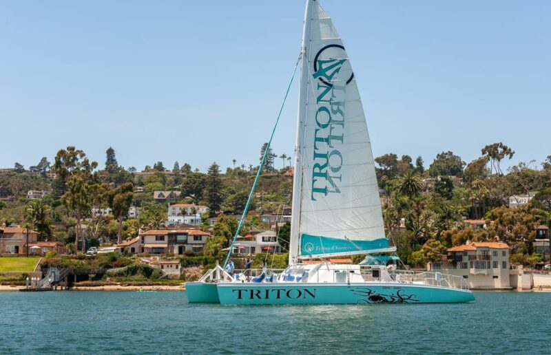 San Diego Harbor Cruise: 2.5 hour Catamaran Cruise - Why This Cruise Stands Out
