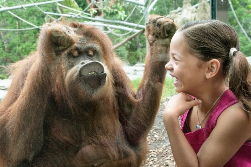 San Diego Pass Plus: 50+ Attractions - Includes LEGOLAND® - What Are the Downsides?