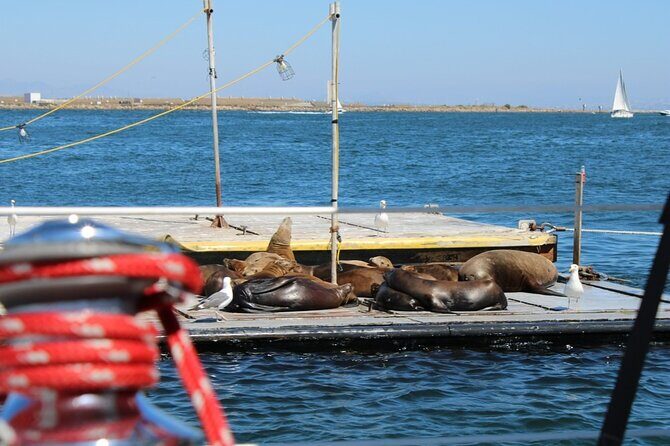 San Diego Private Morning Sail up to 12 guests - Why This Sailing Tour Stands Out