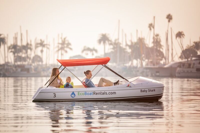 San Diego: San Diego Bay Dog-Friendly Eco Pedal Boat Rentals - The Experience Itself: What to Expect