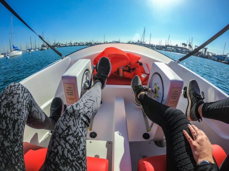 San Diego: San Diego Bay Dog-Friendly Eco Pedal Boat Rentals - Practical Considerations and Tips