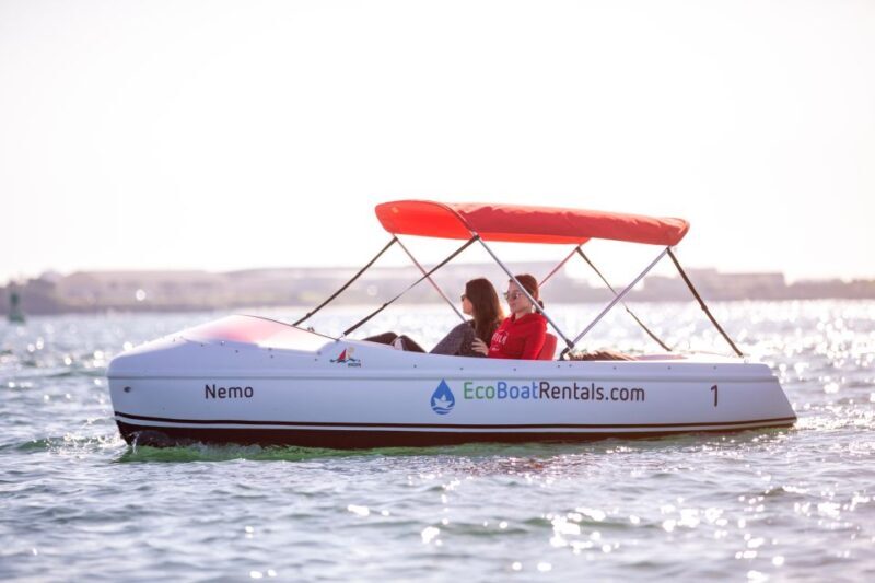 San Diego: San Diego Bay Dog-Friendly Eco Pedal Boat Rentals - Final Thoughts: Who Will Love This?