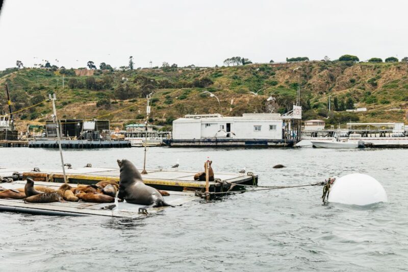 San Diego: SEAL City Tour by Amphibious Bus - Who Will Love This Tour?
