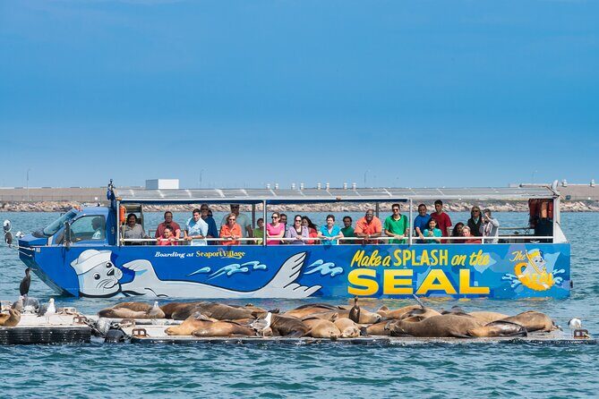 San Diego Shore Excursion: San Diego Seal Tour - An In-Depth Look at the San Diego Seal Tour