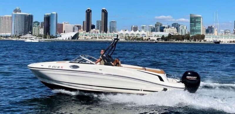 San Diego: Speed Boat Rental in San Diego Bay - The Value and Pricing