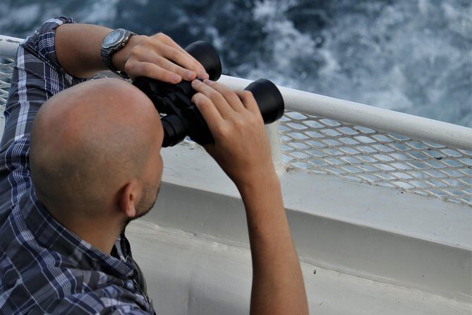 San Diego Sunset Cruise from Mission Bay - Detailed Breakdown of the Itinerary