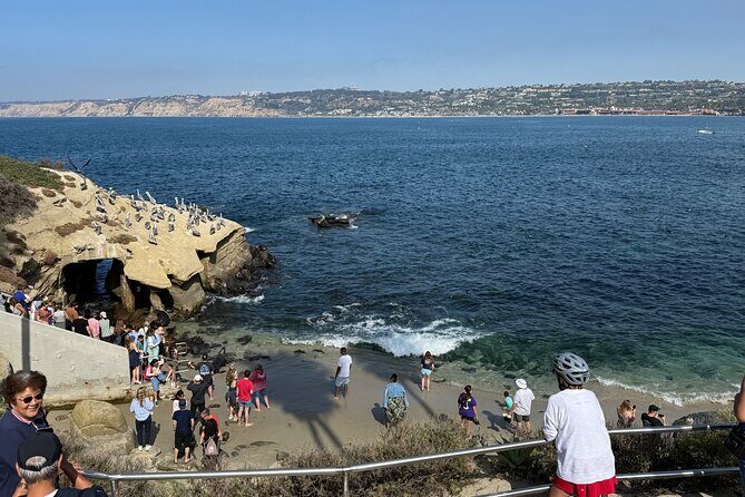 San Diego Tide Pool Tour - FAQ