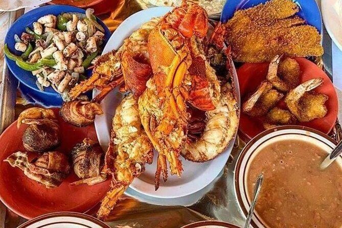 San Diego >>Valley of Guadalupe/four fours vineyard/sky winery - Who Should Consider This Tour?