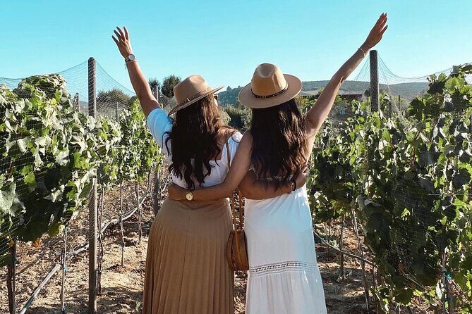 San Diego >>Valley of Guadalupe/four fours vineyard/sky winery - Final Thoughts