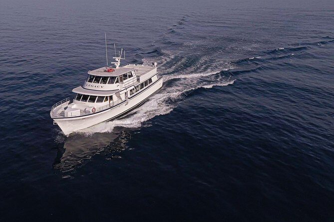 San Diego Whale Watching 3 Hour Tour Mission Bay on the Legacy - Key Points