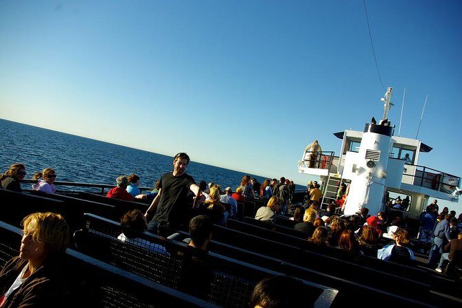 San Diego Whale Watching Cruise - Experience on Deck