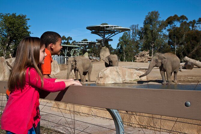 San Diego Zoo 1-Day Pass: Any Day Ticket - Authentic Visitor Perspectives