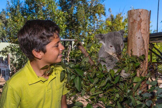 San Diego Zoo 1-Day Pass: Any Day Ticket - Who This Tour Is Perfect For