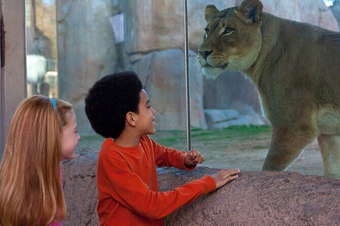 San Diego Zoo Safari Park 1-Day Pass: Any Day Ticket - A Detailed Look at the Experience