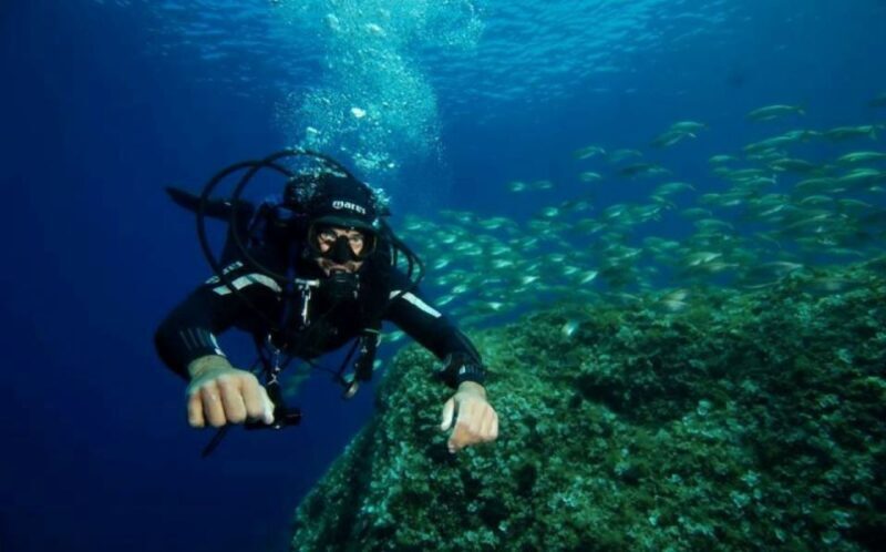 San Domino, Tremiti: Guided dives around Tremiti Islands - Who Should Consider This?