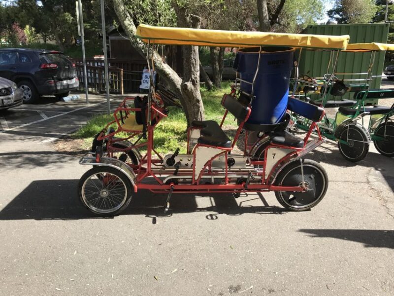 San Fancisco: Golden Gate Park Surrey Rental - Key Points