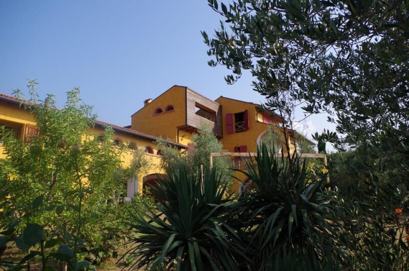 San Felice: Olive Oil Tasting with local food on Garda Hills - What to Expect from the Olive Oil Tasting Tour