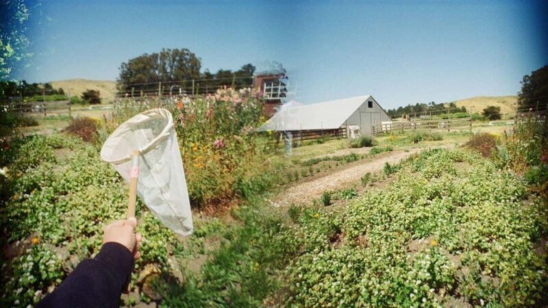 San Francisco: 5-Day California Coast, Vineyards & Wine Tour - Who Is This Tour Best For?