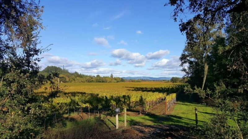 San Francisco: 5-Day California Coast, Vineyards & Wine Tour - FAQ