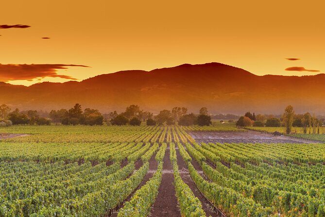San Francisco Airport Private Transfer to Napa Valley - What to Expect from This Transfer
