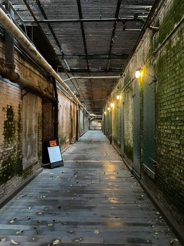 San Francisco: Alcatraz Ticket, Ferry, & Self-Guided App - The Self-Guided Tour: Pros and Cons