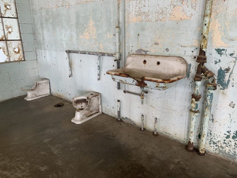 San Francisco: Alcatraz Tour with Muir Woods and Sausalito - The Real Experience: What Travelers Say