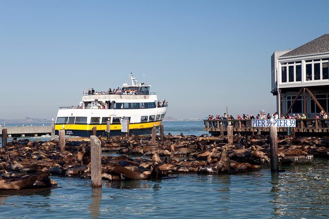 San Francisco Bay Cruise - Is This Cruise Worth It?
