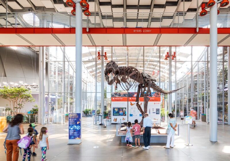 San Francisco: California Academy of Sciences Entry Ticket - A Closer Look at What You Can Expect