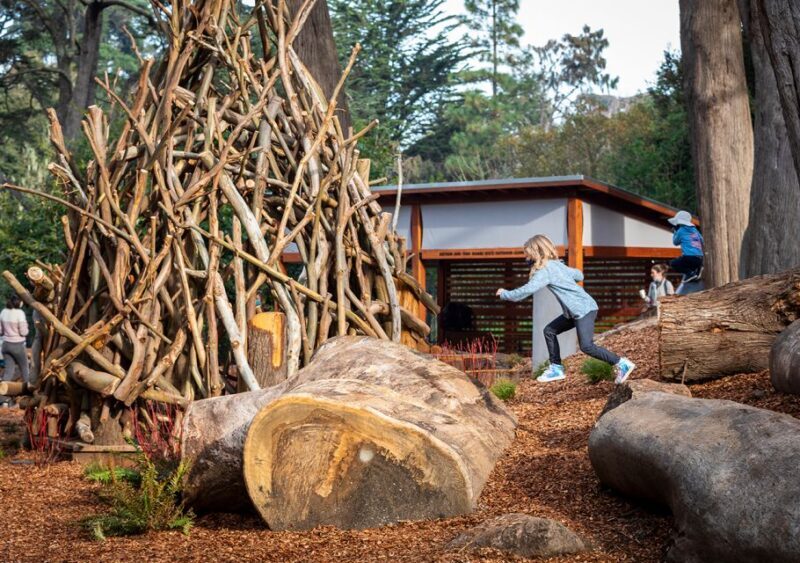 San Francisco: California Academy of Sciences Entry Ticket - The Verdict on Value