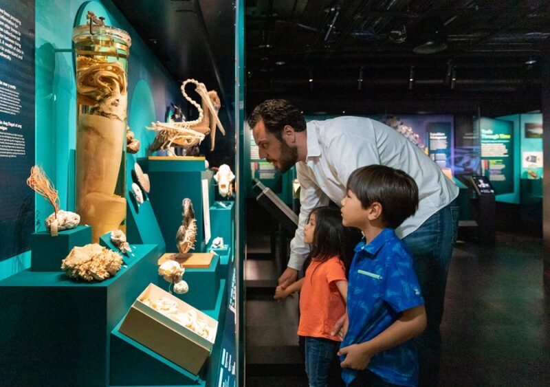 San Francisco: California Academy of Sciences Entry Ticket - Who Will Love This Experience?