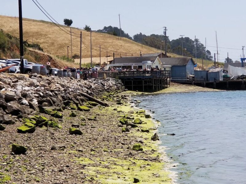 San Francisco: Cheese Honey Oysters Wine Tour of Sonoma - The Sum Up