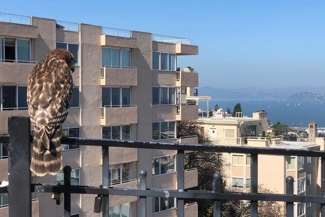 San Francisco Chinatown, Russian Hill, And North Beach Tour - Key Points