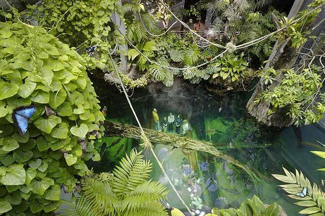 San Francisco CityPASS® - FAQs