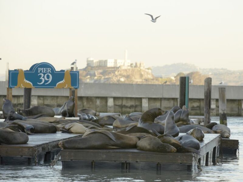 San Francisco CityPASS®: Save 46% at 4 Top Attractions - What to Expect from the San Francisco CityPASS® Experience