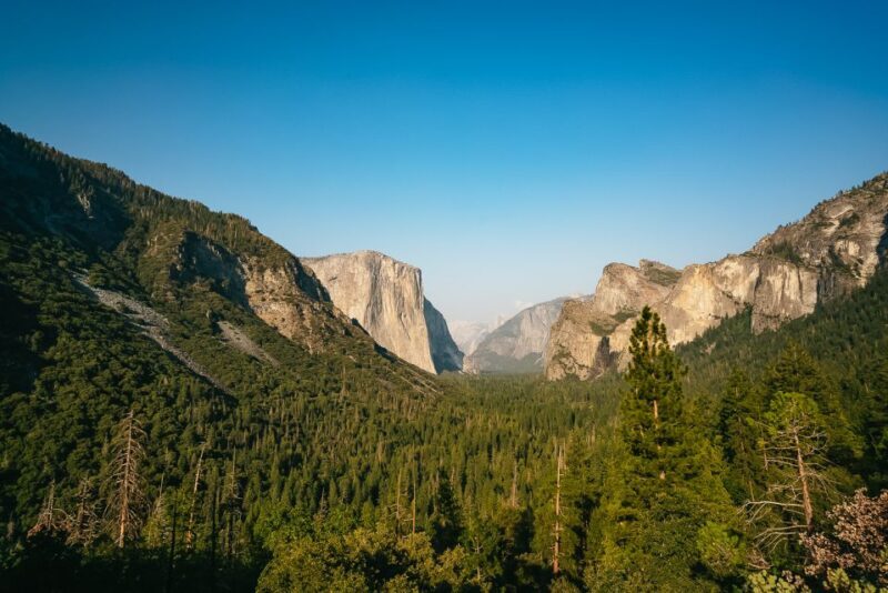 San Francisco: Day Trip to Yosemite with Giant Sequoias Hike - What You Can Expect from the Yosemite Day Trip