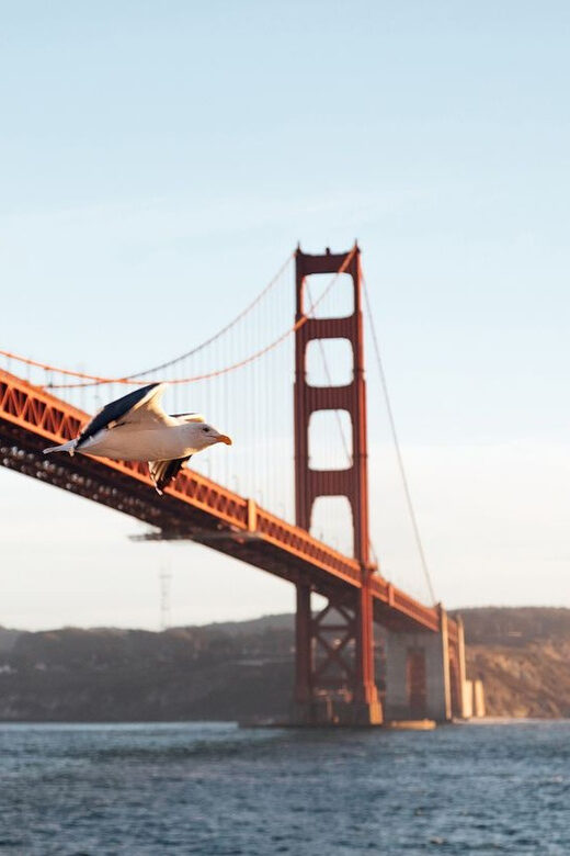 San Francisco: Easter Buffet Brunch or Dinner Bay Cruise - Final Thoughts