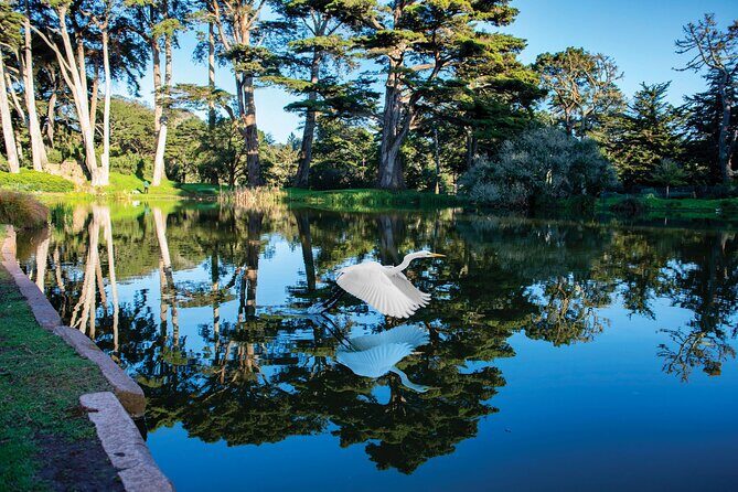 San Francisco Golden Gate Park Tour - FAQ