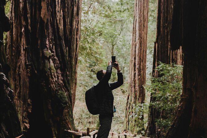 San Francisco, Golden Gate, Sausalito and Muir Woods Private Tour - What the Reviews Say