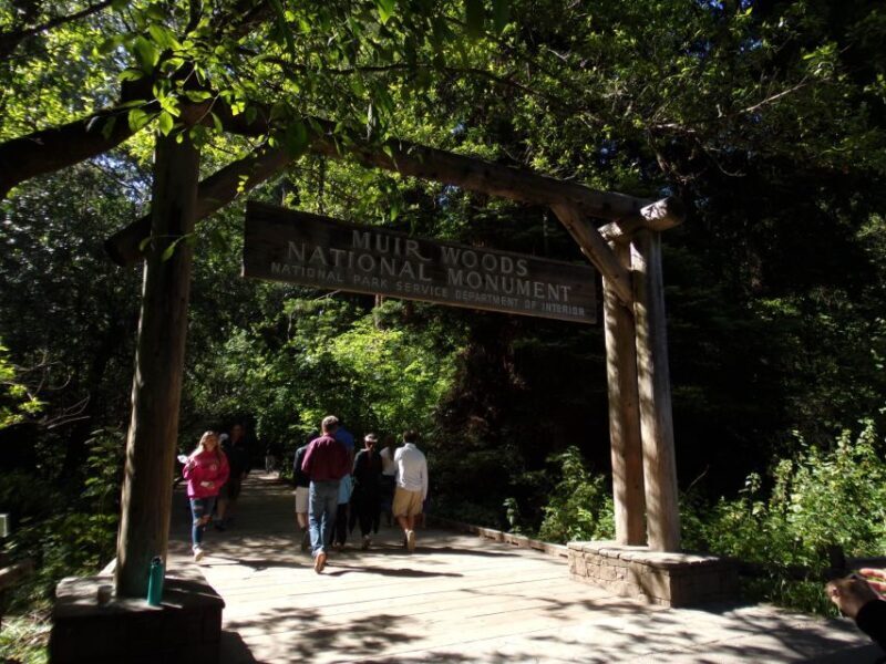 San Francisco Grand City Tour + Muir Woods and Sausalito - The Return and Final Thoughts