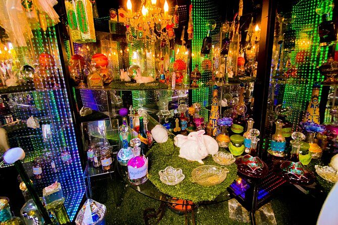 San Francisco Gregangelo Museum - Immersive Art Garden Tour - A Deep Dive into the Experience