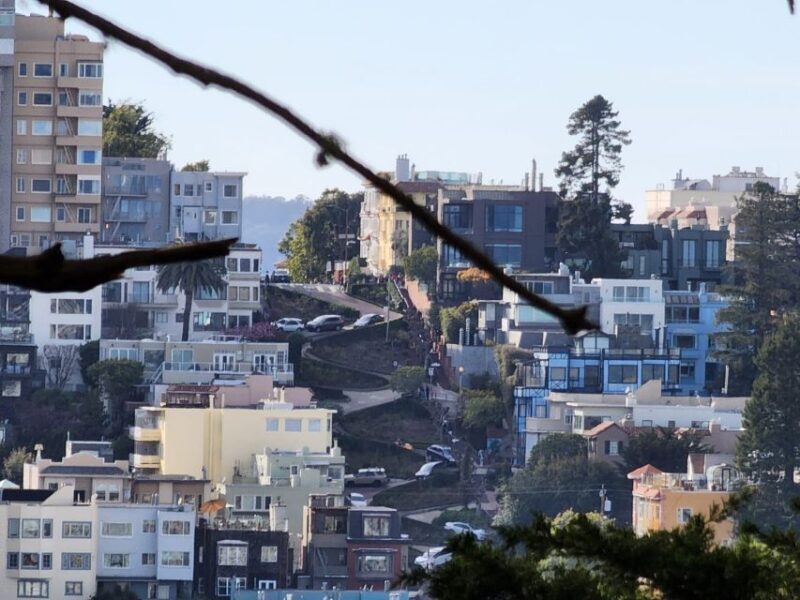 San Francisco: Guided Half-Day Group City Tour - Why This Tour Stands Out