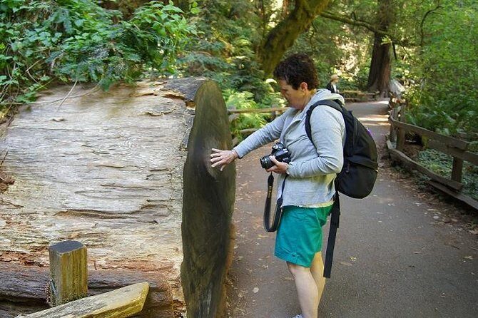 San Francisco: Guided Muir Woods Tour & Hop-on Hop-off Bus Tour - Price and Value