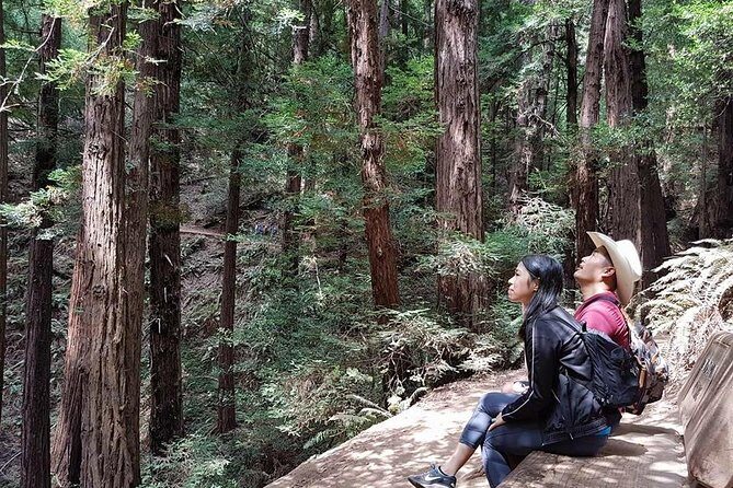 San Francisco: Guided Tour of Coastal Redwoods & Wine Country - Exploring the Redwoods at Armstrong Redwood State Natural Reserve