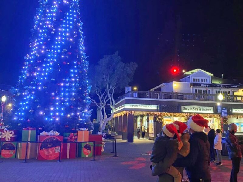 San Francisco: Holiday Lights Private Group Jeep Tour - Who Is This Tour Best For?