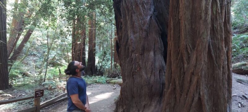 San Francisco: Muir Woods and Sausalito Small Group Tour - Sausalito’s Charm