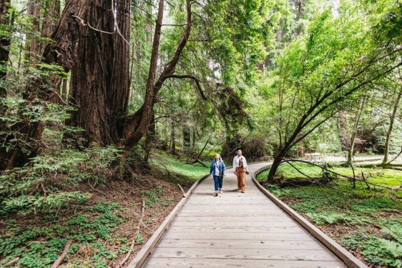 San Francisco: Muir Woods, Napa & Sonoma Valley Wine Tour - What the Tour Does Well According to Visitors