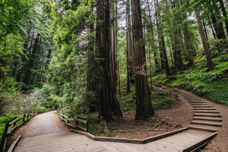 San Francisco: Muir Woods, Napa & Sonoma Valley Wine Tour - Possible Downsides