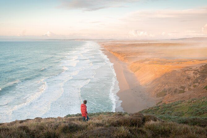 San Francisco Muir Woods, Point Reyes and Meadery Tour - Key Points