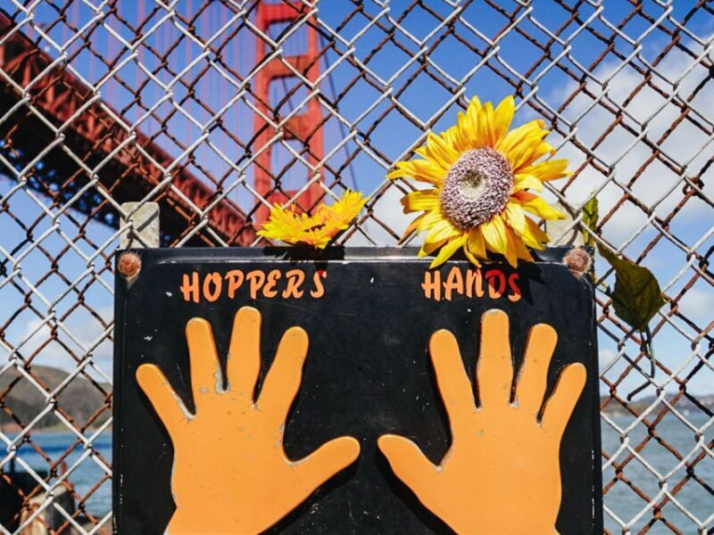 San Francisco: Muir Woods, San Francisco and Sausalito Tour - Considerations and Downsides